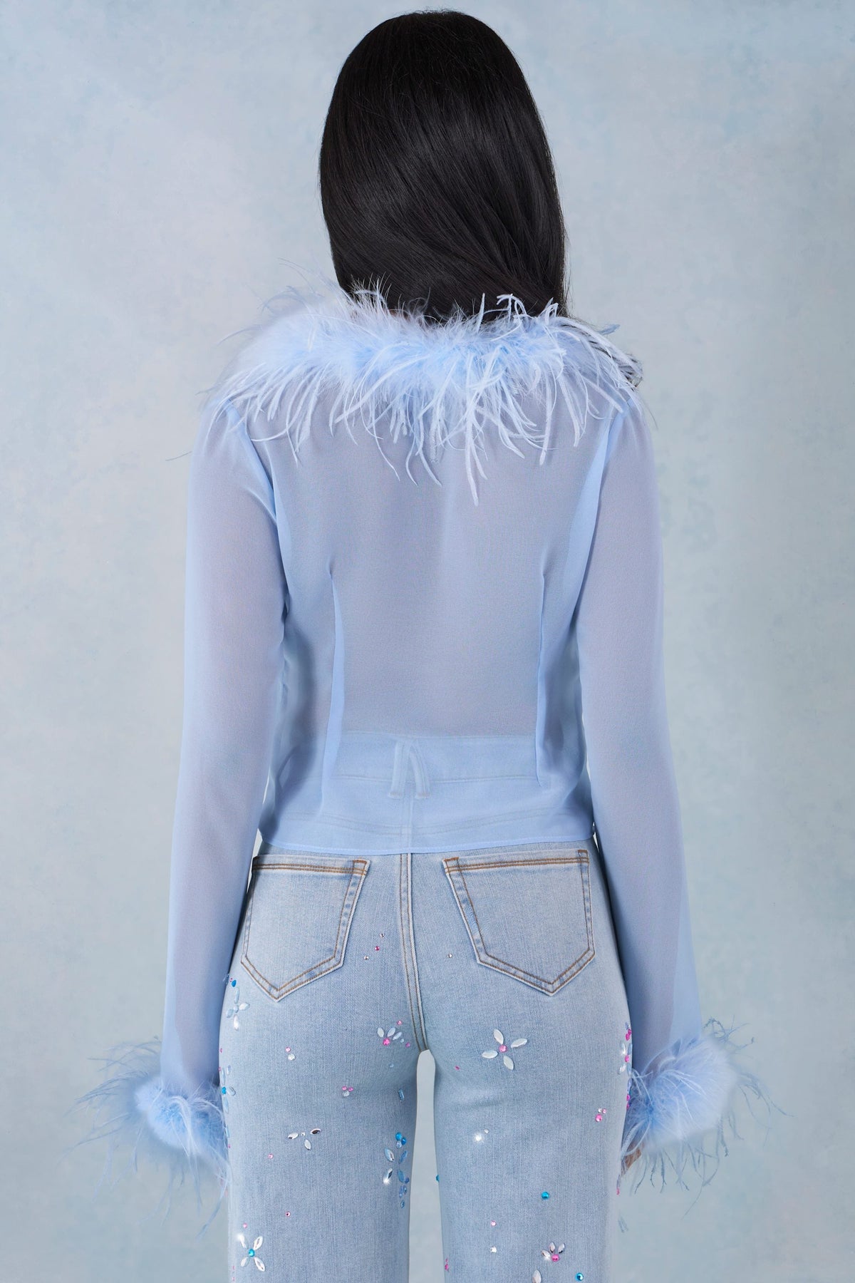 Feather Trim Sheer Top in Soft Blue